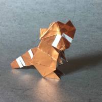 
<span>Common Racoon</span>
