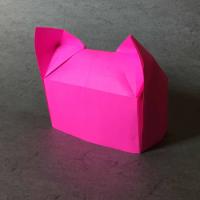 
<span>Pussyhat</span>
