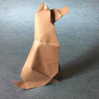 
<span>Timber the Dog</span>
