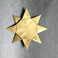 
<span>Eight Pointed Star</span>
