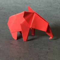 
<span>Elephant</span>
