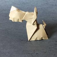 
<span>Scottish Terrier</span>
