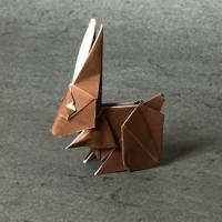 
<span>Rabbit</span>
