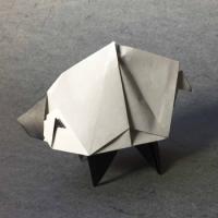 
<span>Sheep</span>

