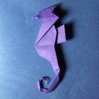 
<span>Sea horse</span>
