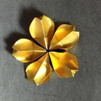 
<span>Cherry Blossom</span>
