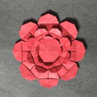 
<span>Floral Perpetua</span>
