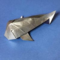 
<span>Koi</span>
