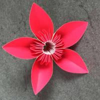
<span>Butterfly</span>
