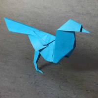 
<span>Bird</span>
