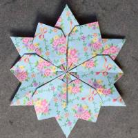 
<span>Flower</span>
