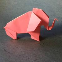 
<span>Elephant</span>
