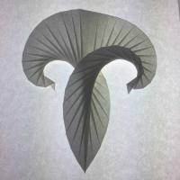 
<span>Aries</span>

