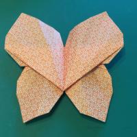
<span>Janneke's Butterfly</span>
