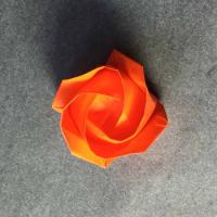 
<span>Rose of Roses</span>
