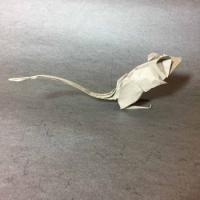 
<span>Square: Hydrangea 1</span>
