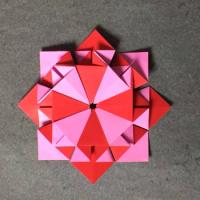 
<span>Square Squared</span>
