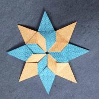 
<span>Styler Stern (Star)</span>
