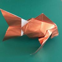 
<span>Taiwan Goldfish</span>

