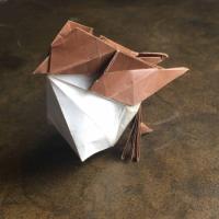 
<span>Little Bird</span>
