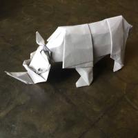 
<span>White Rhino</span>
