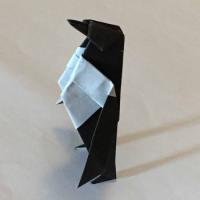 
<span>Penguin</span>
