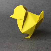 
<span>Chick</span>
