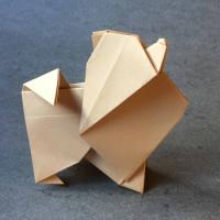 
<span>Pomeranian</span>
