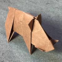 
<span>Boar</span>
