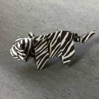 
<span>Tiger</span>
