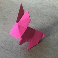 
<span>Hare</span>
