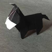 
<span>Horse</span>
