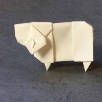 
<span>Sheep</span>
