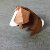 
<span>Monkey</span>
