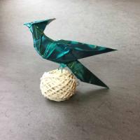 
<span>Bird</span>
