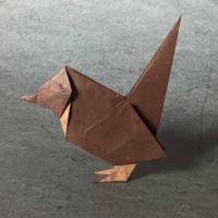 
<span>Wren</span>
