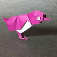
<span>Flycatcher</span>
