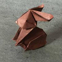 
<span>Baby Rabbit</span>
