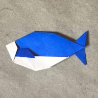 
<span>Nacho's Fish</span>
