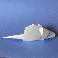 
<span>Mouse</span>
