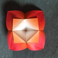 
<span>Flower</span>
