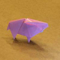 
<span>Wild Boar</span>

