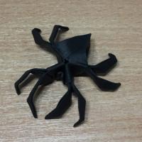 
<span>Spider</span>
