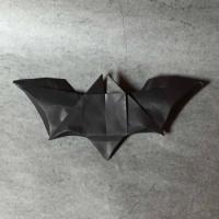 
<span>The Batarang</span>
