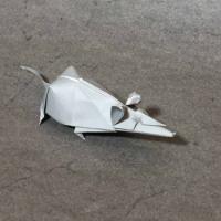 
<span>Mouse</span>
