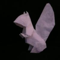 
<span>Squirrel based on 15 degrees</span>

