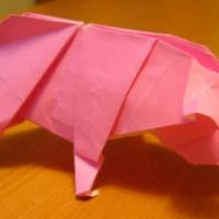
<span>Pig 1</span>
