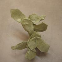 
<span>Prickly Pear Cactus</span>
