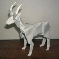 
<span>Ibex</span>

