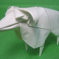
<span>Sheep</span>
